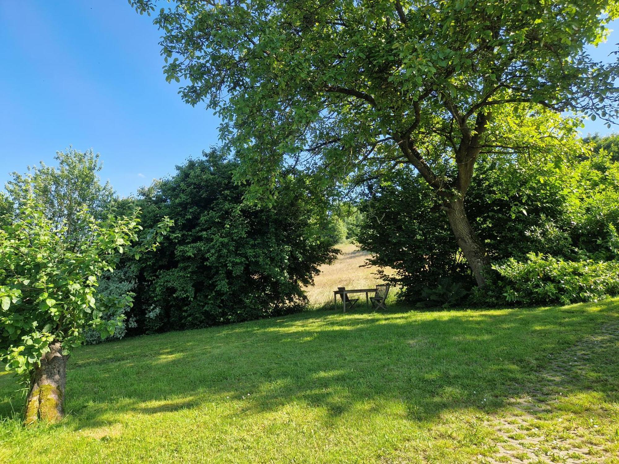 Ferienhaus Berghausen Am Hennesee Meschede Exteriör bild